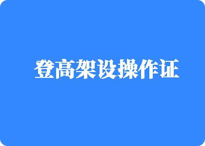 浏览器上免费看女生抠逼视频登高架设操作证