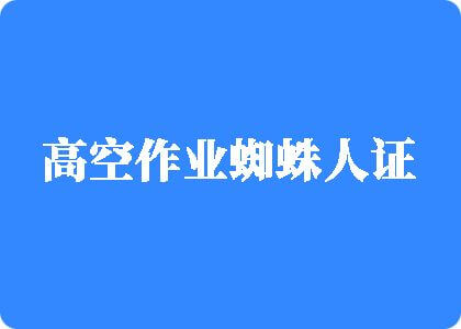 大逼网高空作业蜘蛛人证